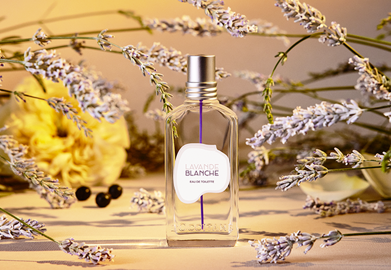 <b>Notre nouvelle fragrance fraîche et délicate !</b>