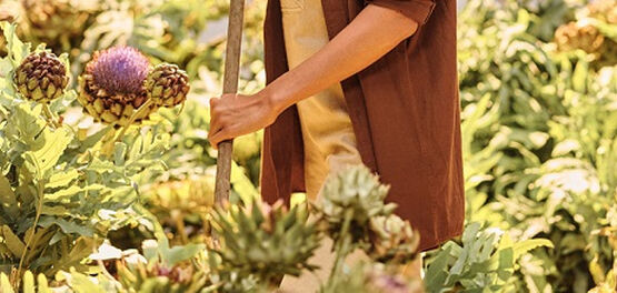 cultivateur de changement