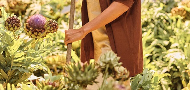 cultivateur de changement