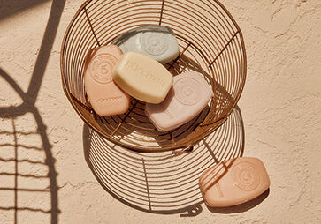 Produits cheveux solides
