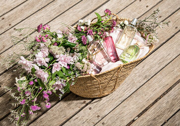 parfum saison