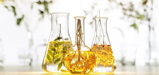 molecule acide hyaluronique