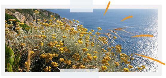 ...Pour prot&eacute;ger la biodiversit&eacute; de nos territoires 