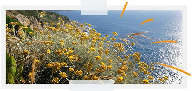 ...Pour prot&eacute;ger la biodiversit&eacute; de nos territoires 