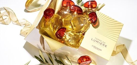 eau de parfum terre de lumiere