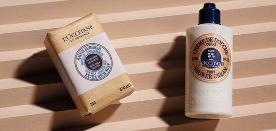savon mains et corps
