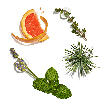 Cocktail Fra&icirc;cheur Purifiante