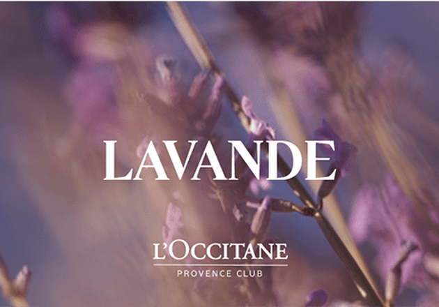 LAVANDE
