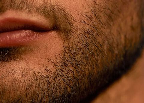barbe courte