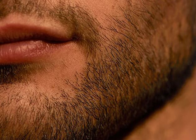 barbe courte