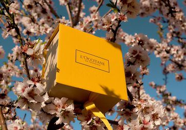 idees cadeaux selon l occasion