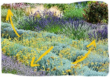 12 000 esp&egrave;ces de plantes sont en voie de disparition.