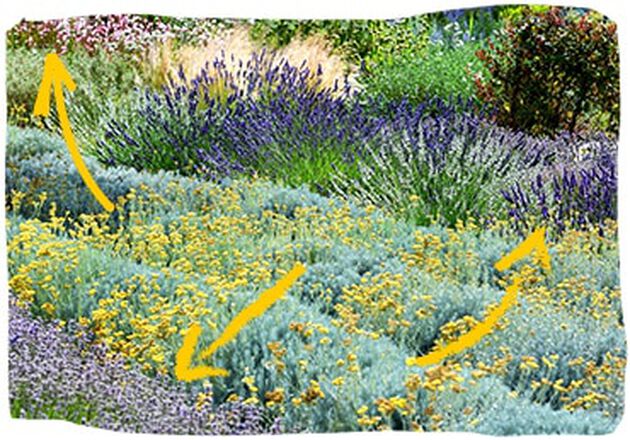 12 000 esp&egrave;ces de plantes sont en voie de disparition.
