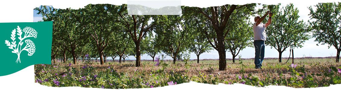 Une histoire de g&eacute;n&eacute;rosit&eacute; 