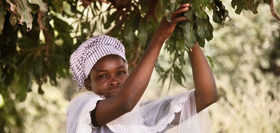entrepreneuriat feminin