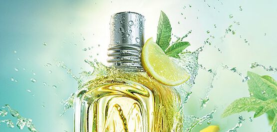 parfum verveine agrumes