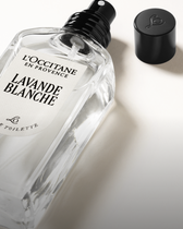 Lavande Blanche