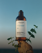 Fra&icirc;cheur Purifiante