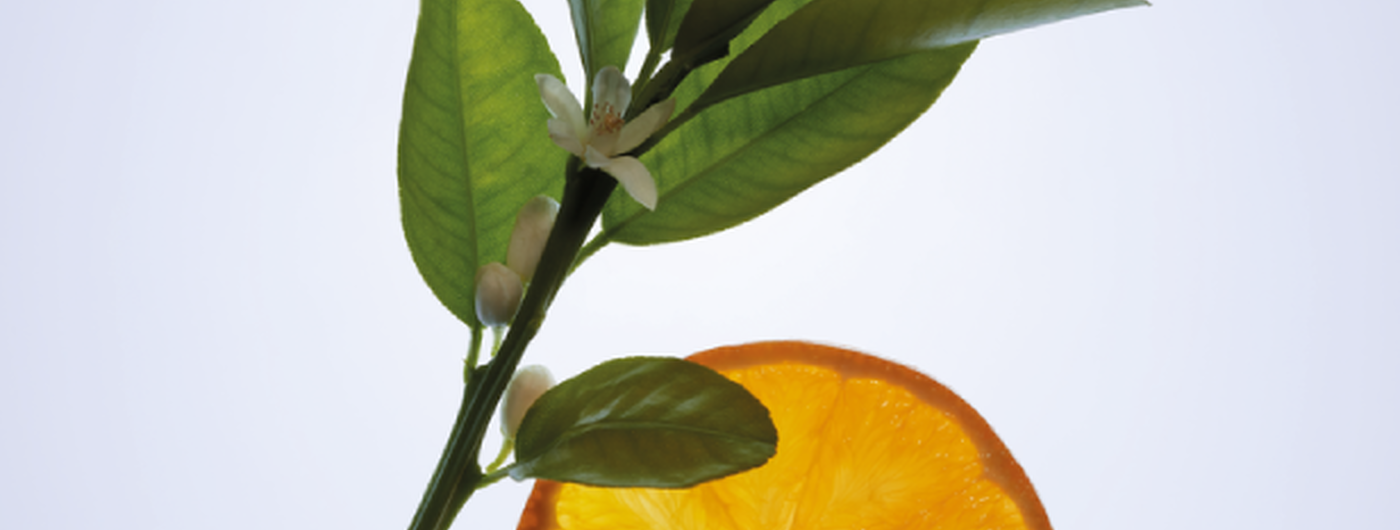 Huile Essentielle d'Orange Douce
