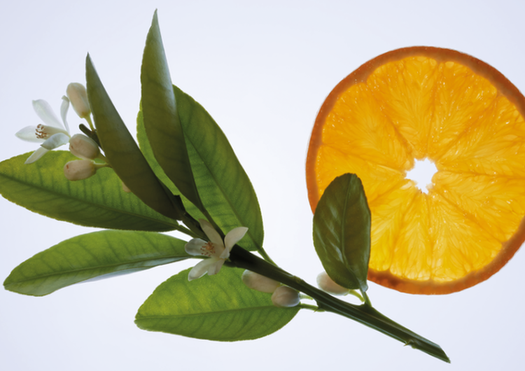 Huile Essentielle d'Orange Douce