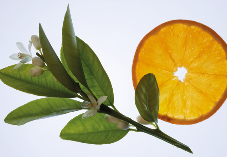Huile Essentielle d'Orange Douce
