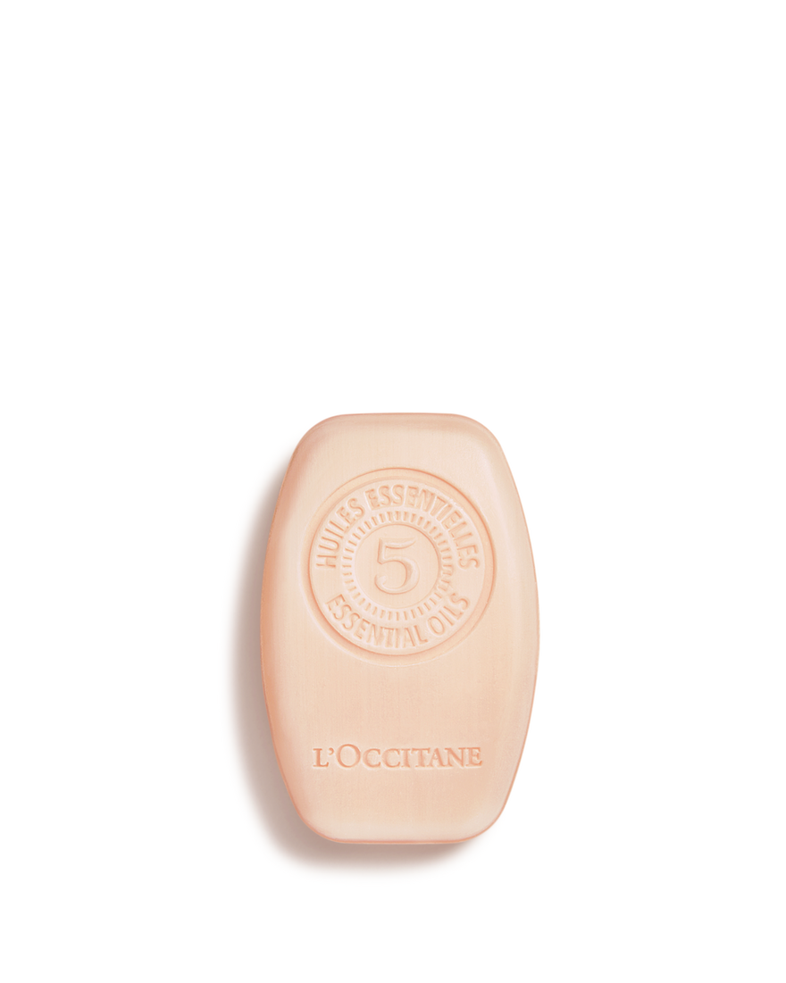 Shampooing Solide R&eacute;paration Intense 60 g | L&rsquo;Occitane en Provence