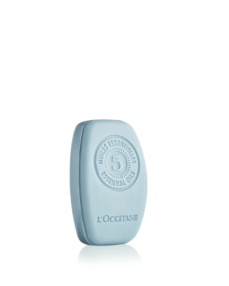 Affichage de l&rsquo;image 3/3 du produit Shampooing Solide Fra&icirc;cheur Purifiante, , RECT