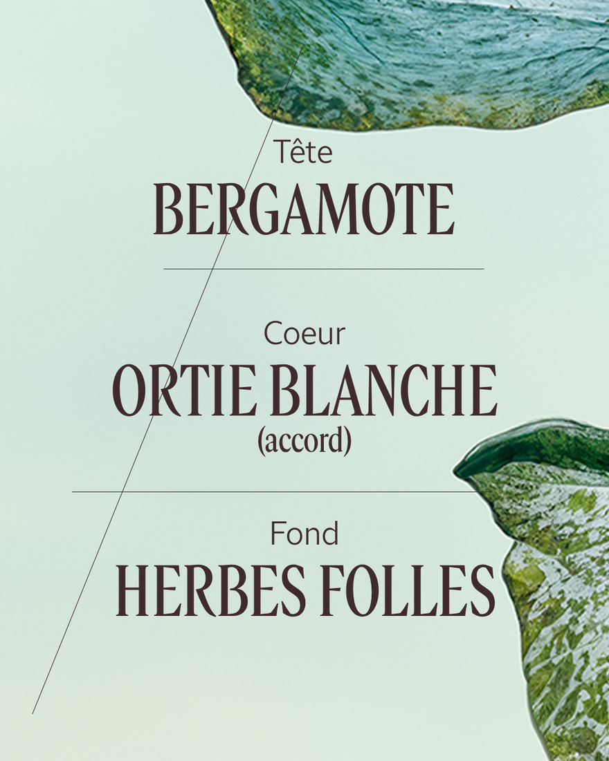 Affichage de l&rsquo;image 4/7 du produit Eau de Parfum Ortie Blanche (Herbae), , RECT