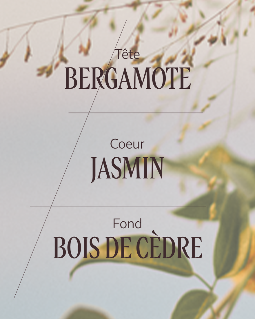 Affichage de l&rsquo;image 4/6 du produit Eau de toilette Jasmin & Bergamote, , RECT