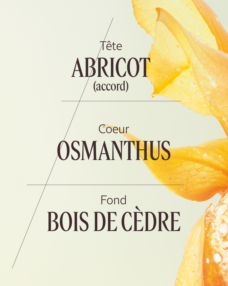 Affichage de l&rsquo;image 4/7 du produit Eau de Toilette Osmanthus Abricot, , RECT