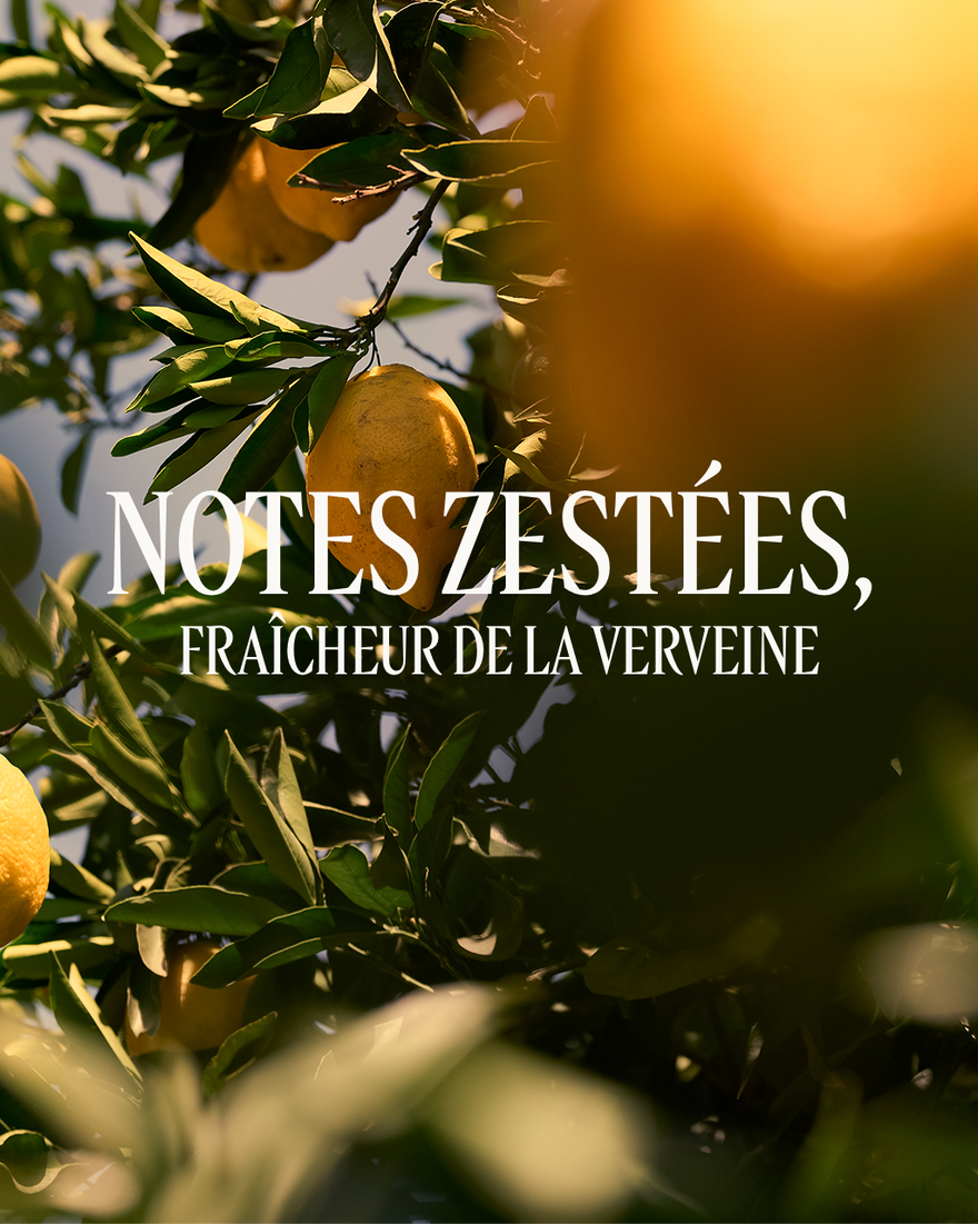 Affichage de l&rsquo;image 4/4 du produit Gel Douche parfum&eacute; Verveine Agrumes, , RECT