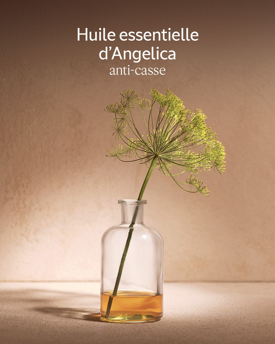 Affichage de l&rsquo;image 5/6 du produit Huile Cheveux R&eacute;paration Intense, , RECT