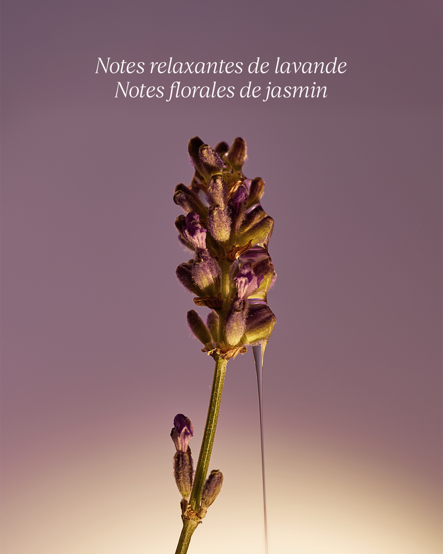 Affichage de l&rsquo;image 7/8 du produit Savon Liquide Mains Lavande, , RECT