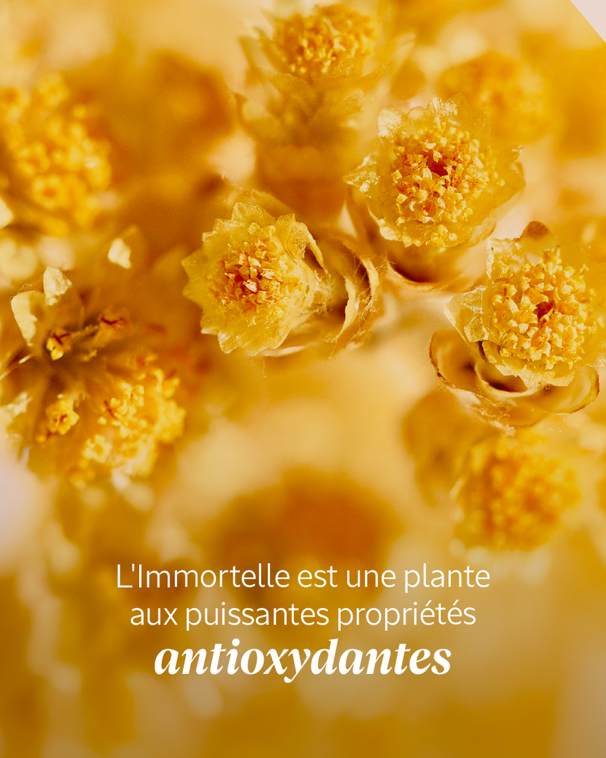Affichage de l&rsquo;image 4/9 du produit S&eacute;rum Visage Reset Nuit, , RECT