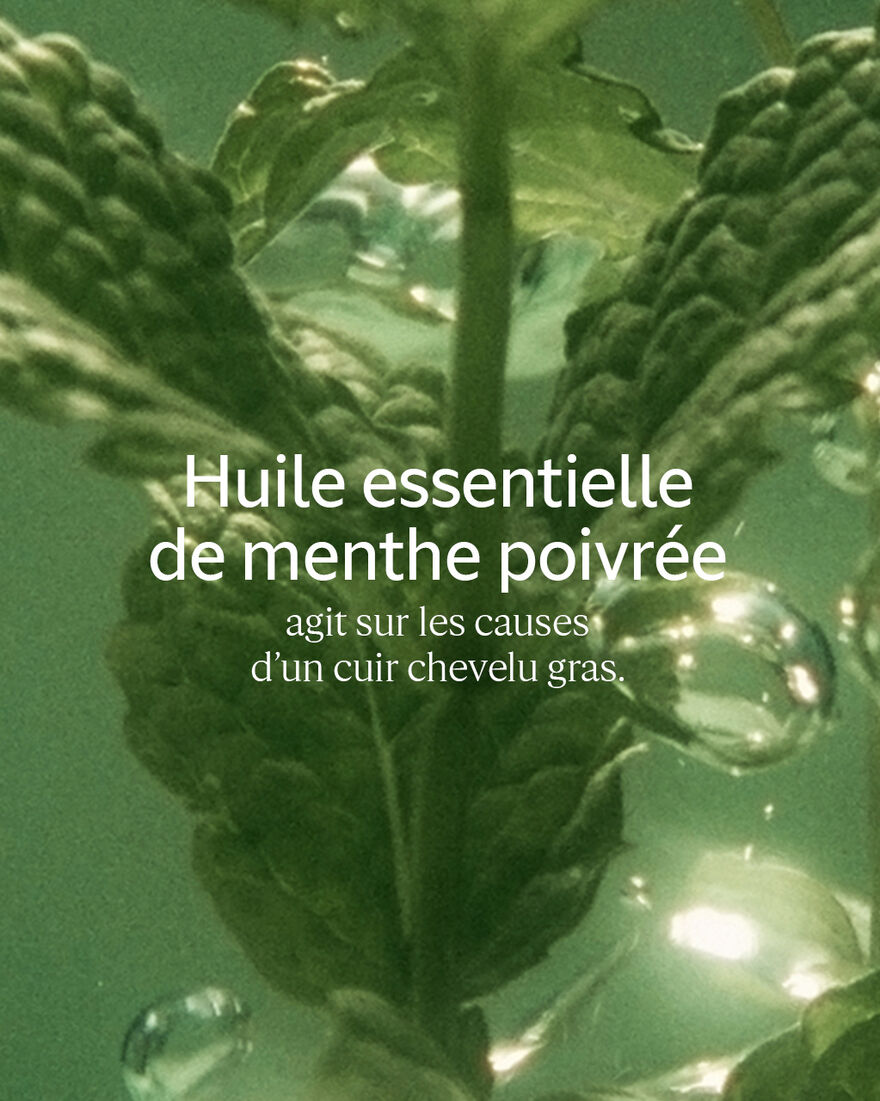 Affichage de l&rsquo;image 5/5 du produit Apr&egrave;s-Shampoing Fra&icirc;cheur Purifiante, , RECT