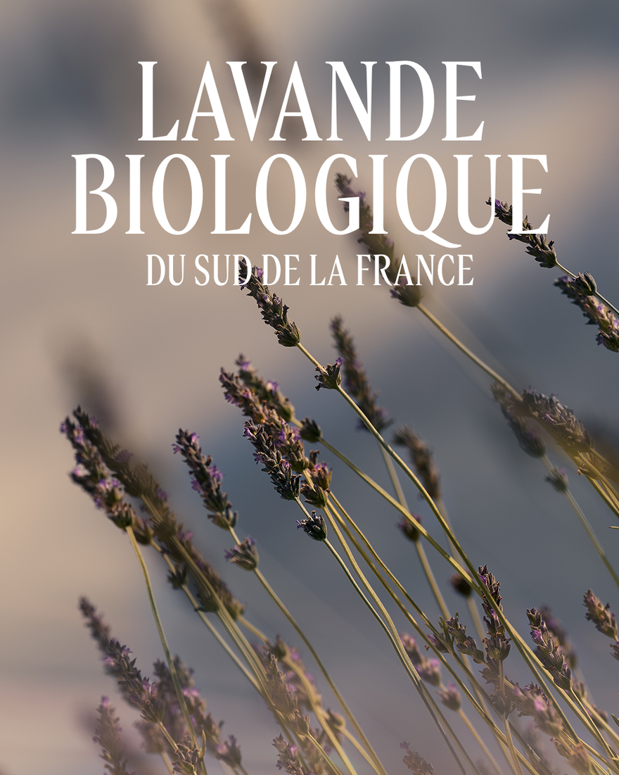 Affichage de l&rsquo;image 4/4 du produit Gel Douche parfum&eacute; Lavande, , RECT