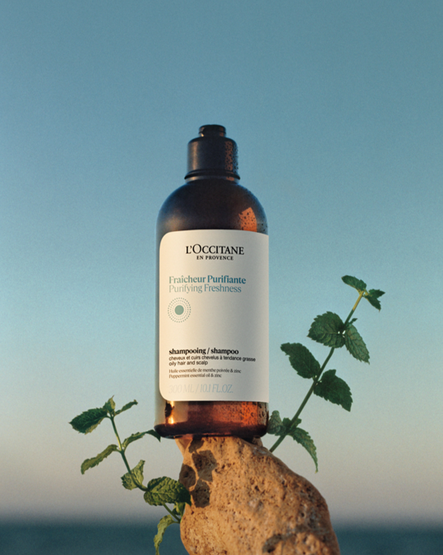 Affichage de l&rsquo;image 2/6 du produit Shampooing Fra&icirc;cheur Purifiante, , RECT