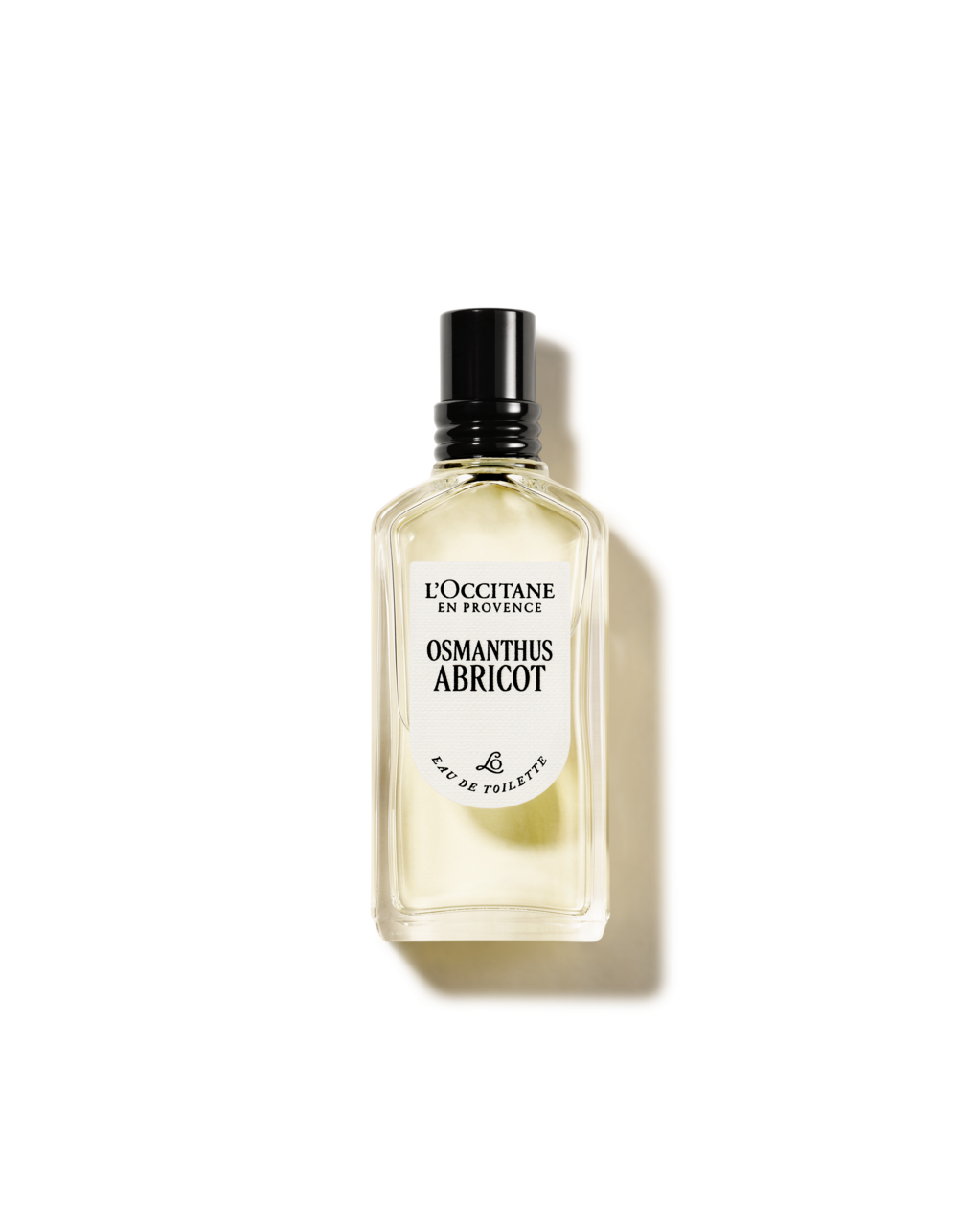 Osmanthus Abricot